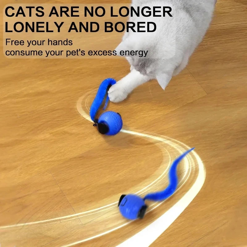 WaveChase™ Smart Pet Ball 🐾⚡ Moves. Teases. Excites.